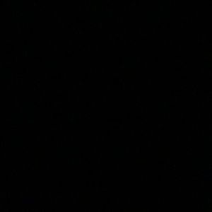 Meet your Posher, Brayden